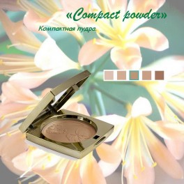 Compact powder